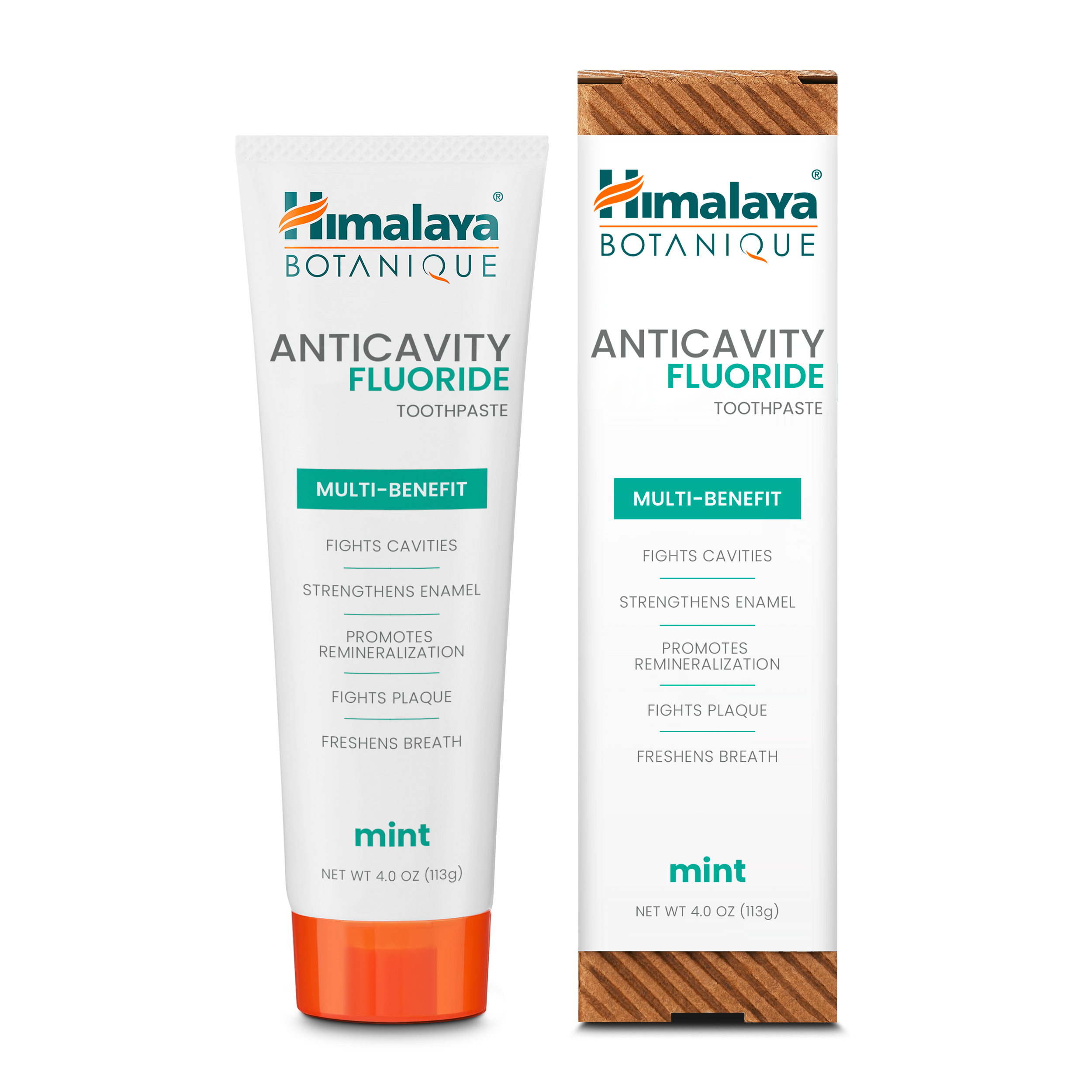 Anticavity Fluoride Mint Toothpaste