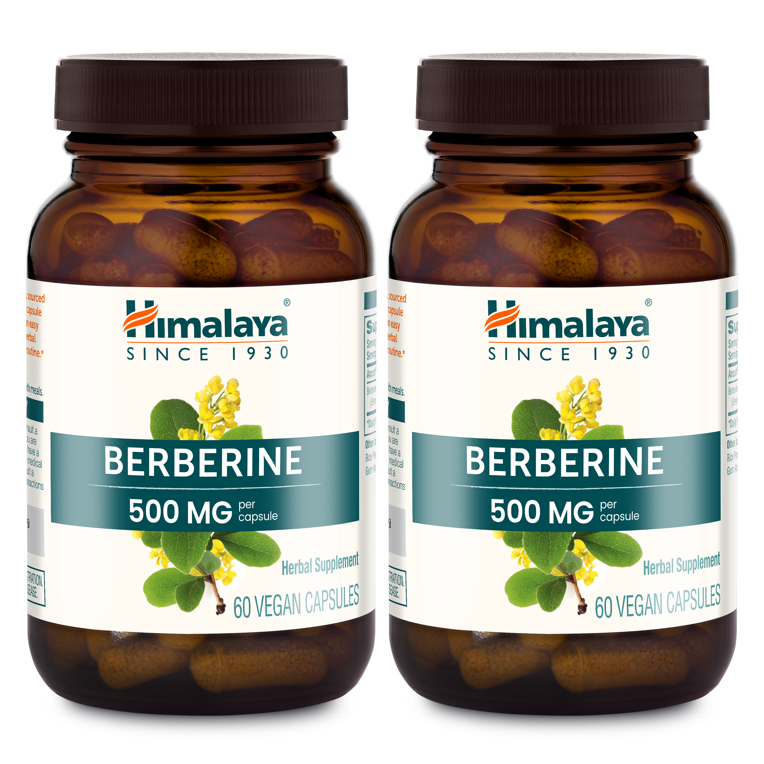 Berberine - Image 3