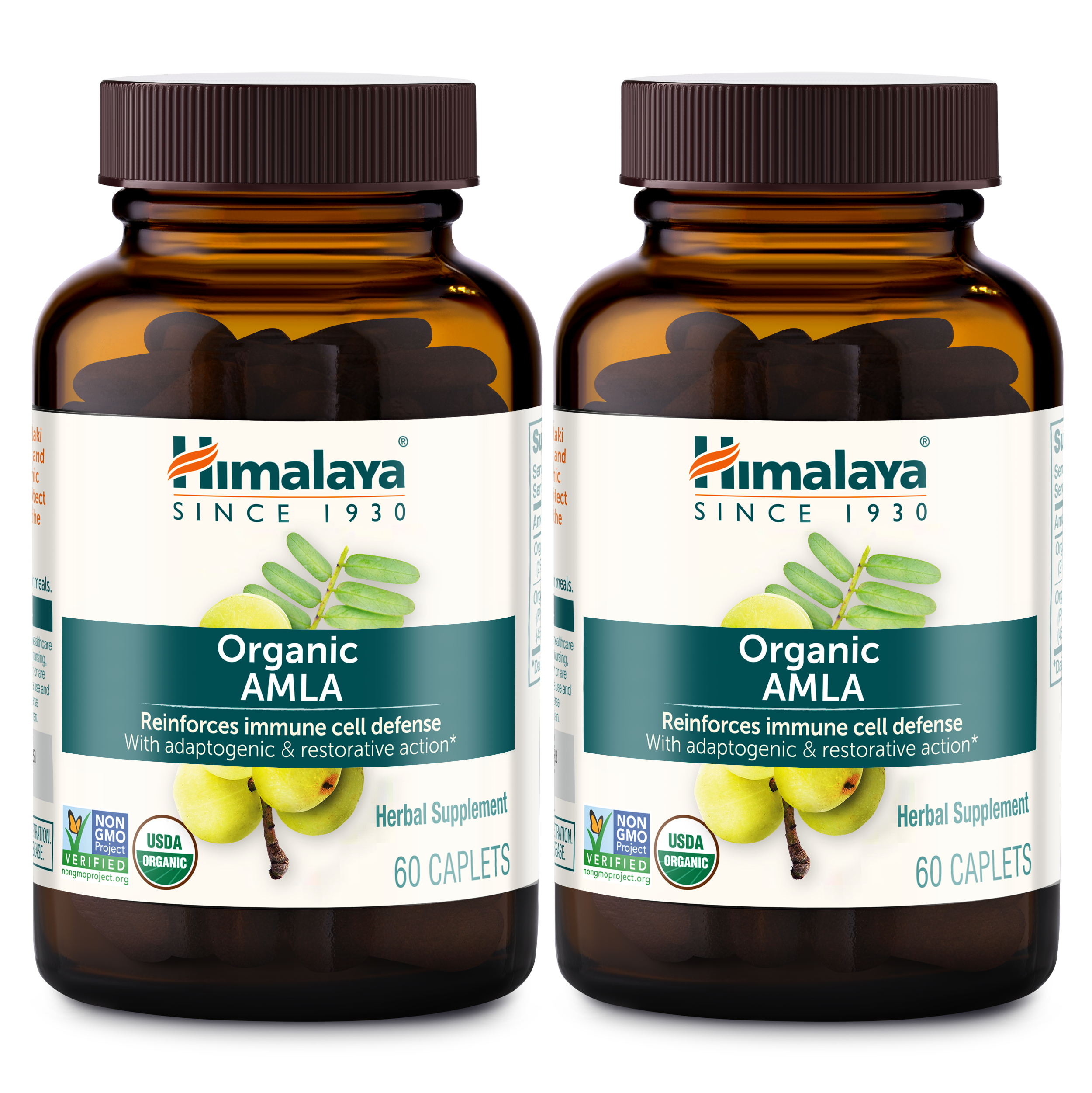 Organic Amla - Image 3