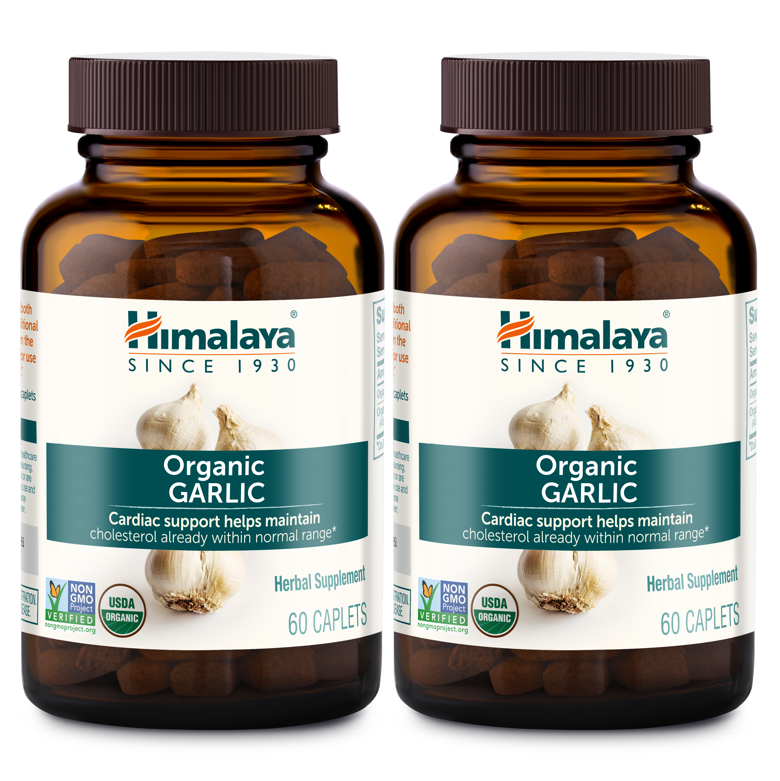Organic Garlic - Image 3