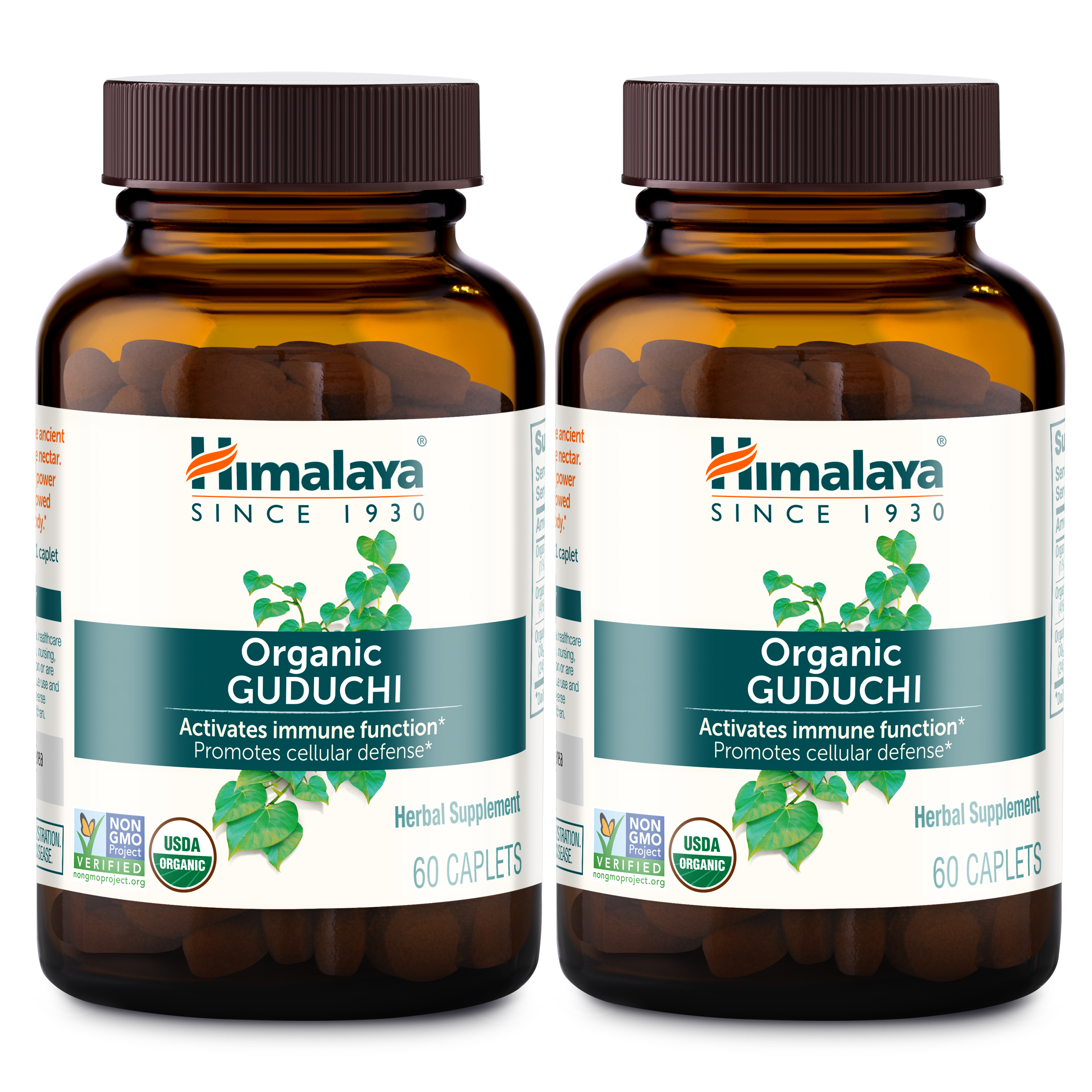 Organic Guduchi - Image 3