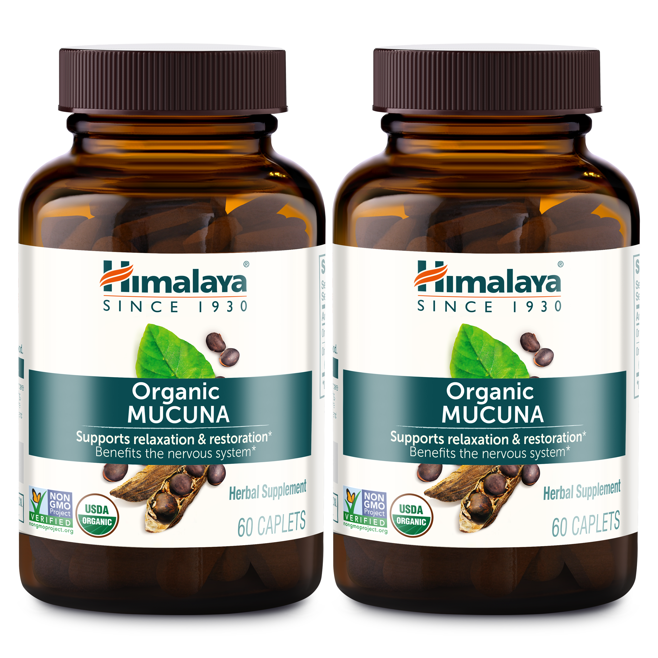 Organic Mucuna - Image 3