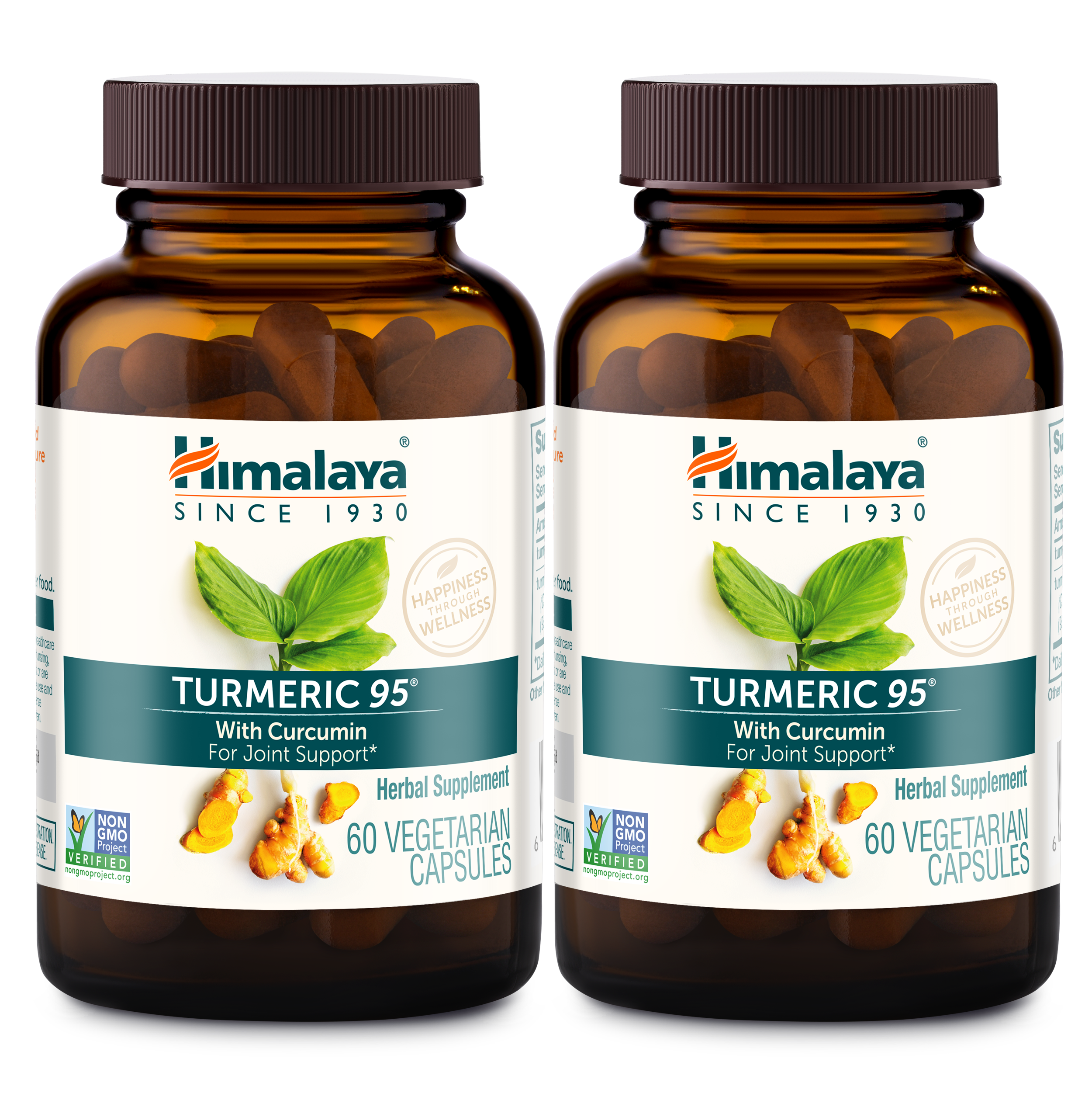 Turmeric 95 - Image 5