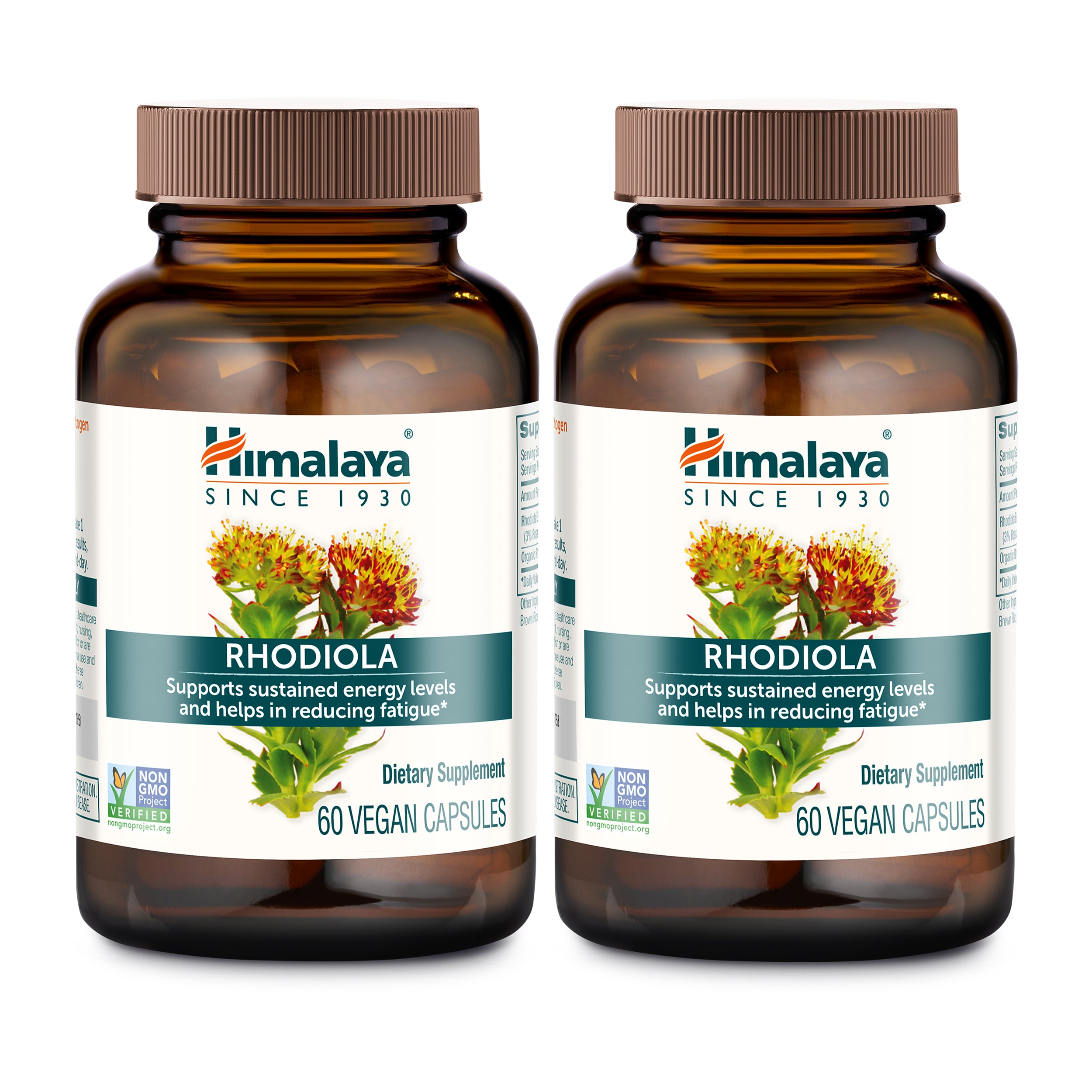 Rhodiola - Image 3